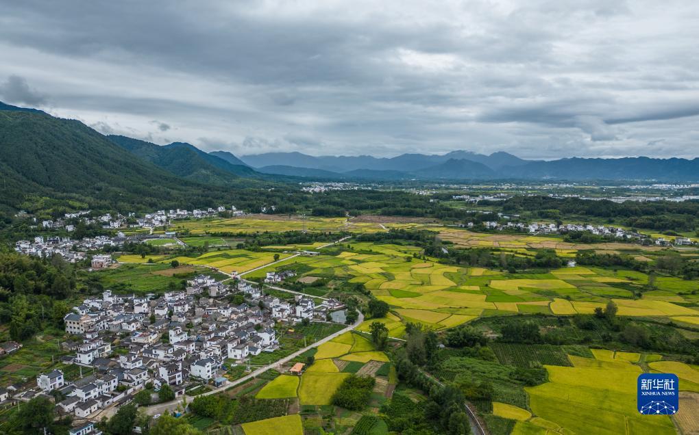 大发黄金版客户端